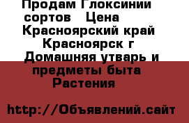 Продам Глоксинии 5 сортов › Цена ­ 170 - Красноярский край, Красноярск г. Домашняя утварь и предметы быта » Растения   